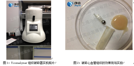 第二軍醫(yī)大實驗案例